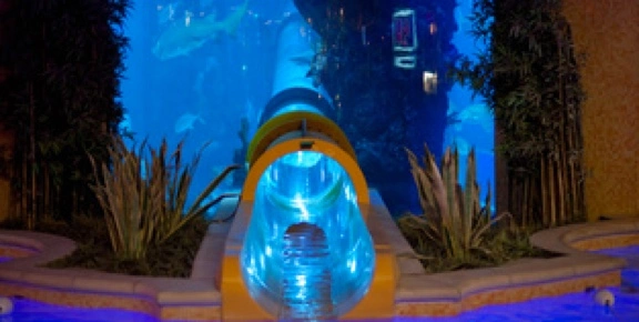 Slide coming out of an aquarium