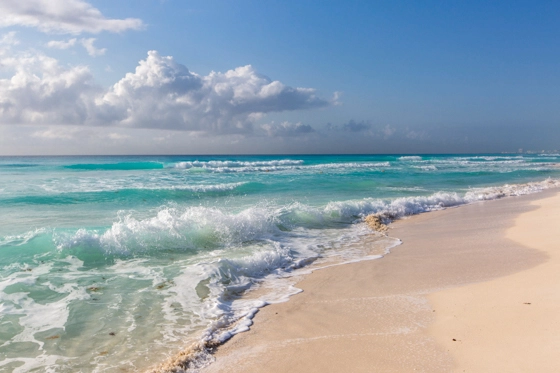 Cancun Beach With Wave and Seafoam