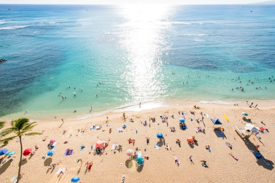 Hawaii Beach with Ocean with Sunbathing