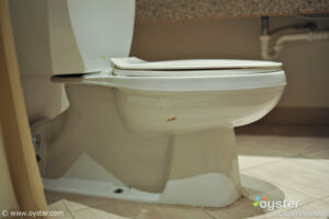 Poo on the toilet in our room at the Holiday Inn Resort Montego Bay, Jamaica.