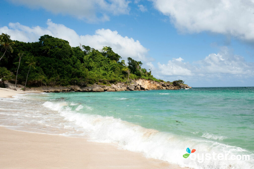 Beach at the Luxury Bahia Principe Cayo Levantado, Samana/Oyster