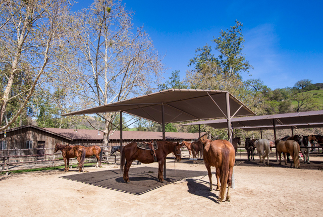 Horse Stables at the Alisal Guest Ranch & Resort/Oyster