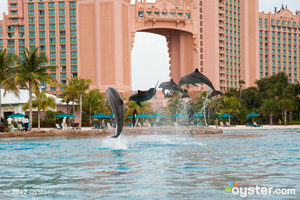 The Atlantis Resort; Bahamas