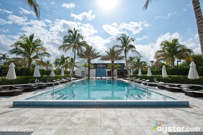 Pool at the Omphoy Ocean Resort -- Palm Beach