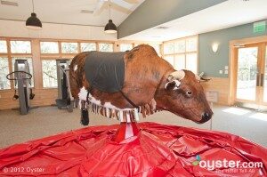 Mechanical bull in the gym? Now there's a workout we can stick to!