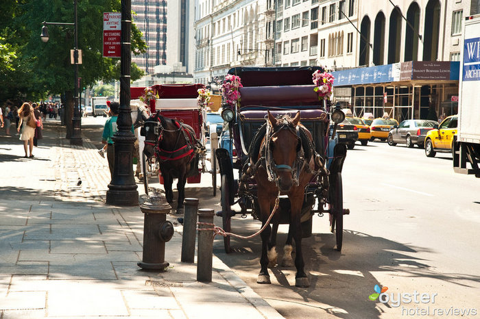 Horse carriages at the entrance of the Ritz-Carlton Central Park