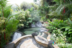 Hot Springs at Tabacon Grand Spa Thermal Resort/Oyster