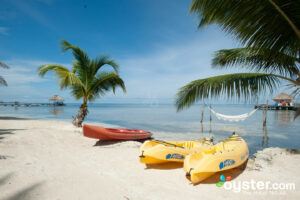 Portofino Beach Resort, Belize/Oyster