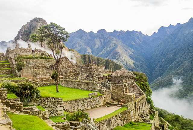 Machu Picchu / Oyster